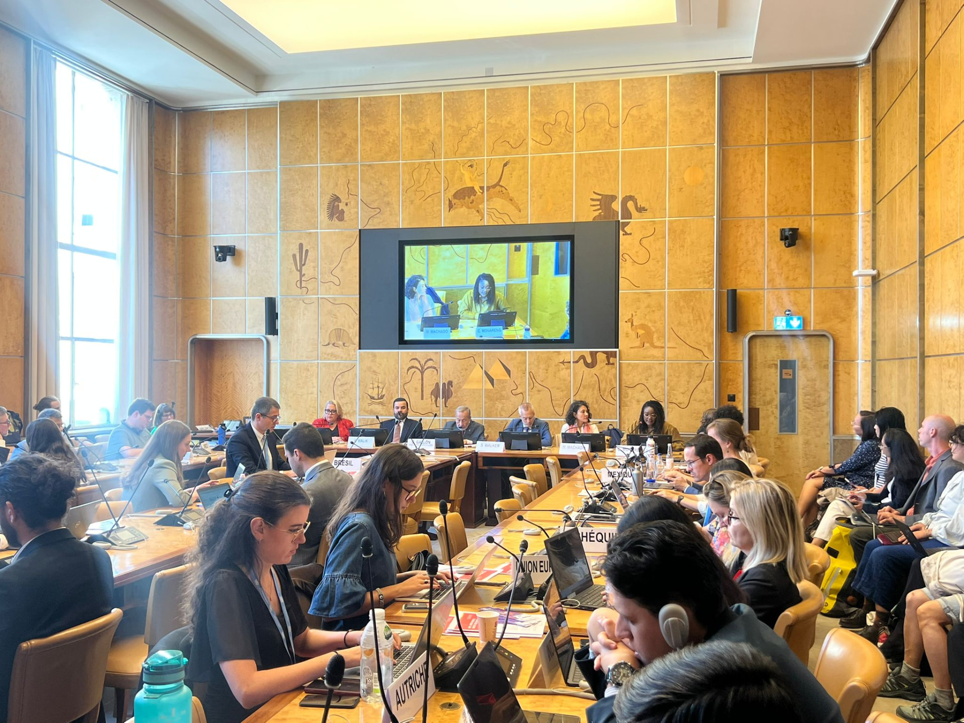 Delegates gathered in a formal international policy meeting in Geneva
